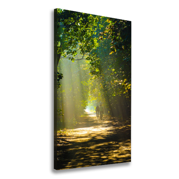 Canvas print Path in the forest