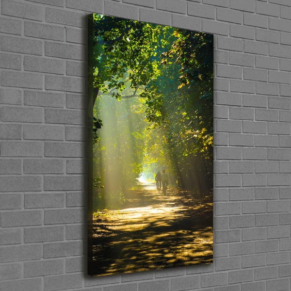 Canvas print Path in the forest