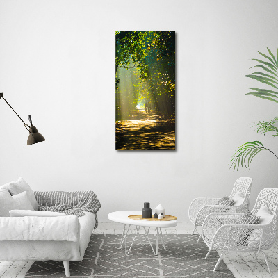 Canvas print Path in the forest