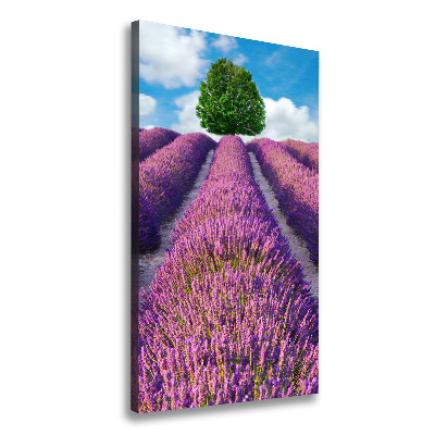 Wall art canvas large Lavender field