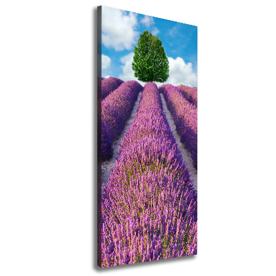 Wall art canvas large Lavender field