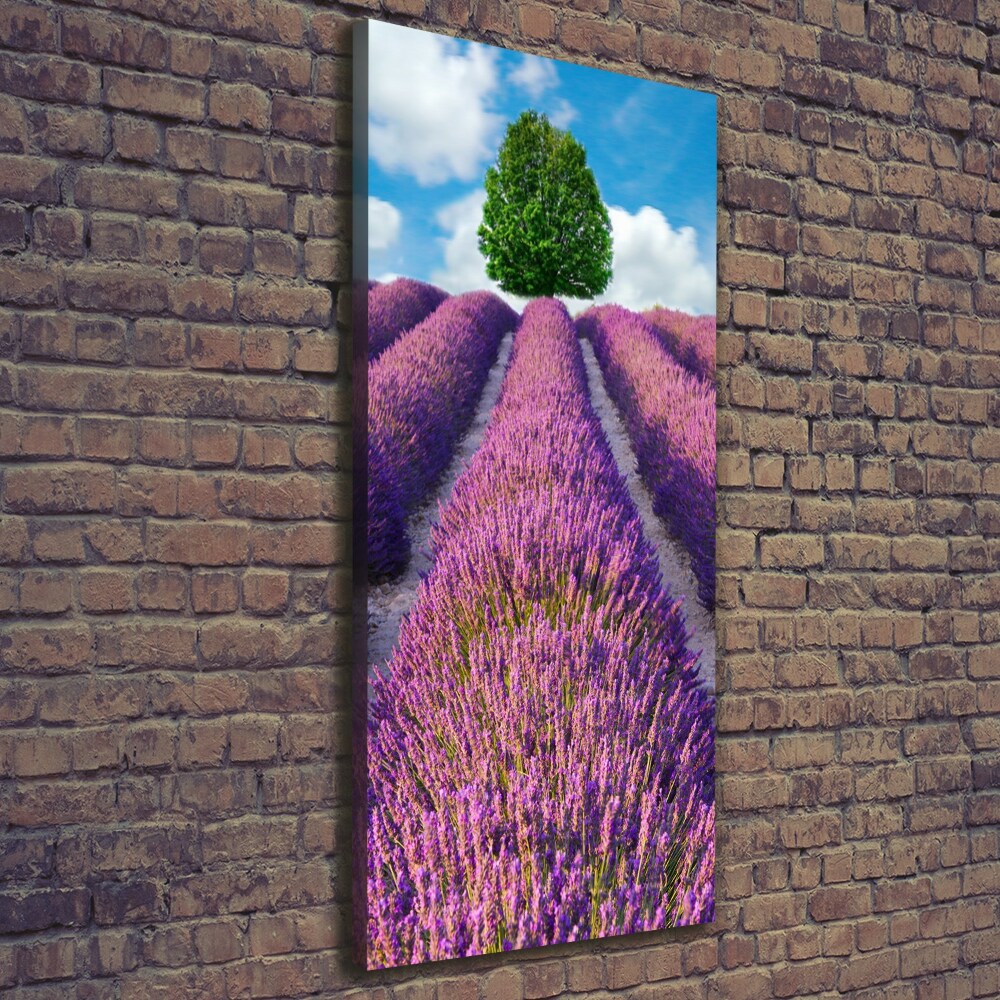 Wall art canvas large Lavender field