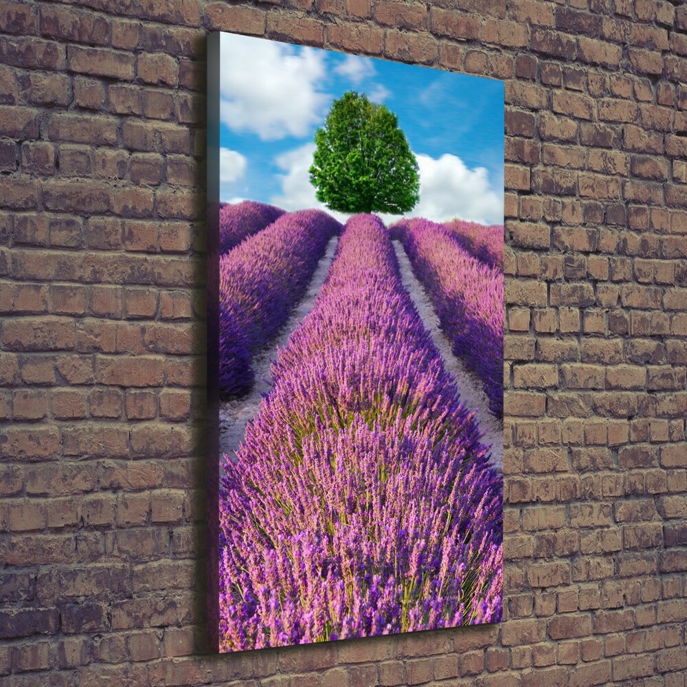 Wall art canvas large Lavender field