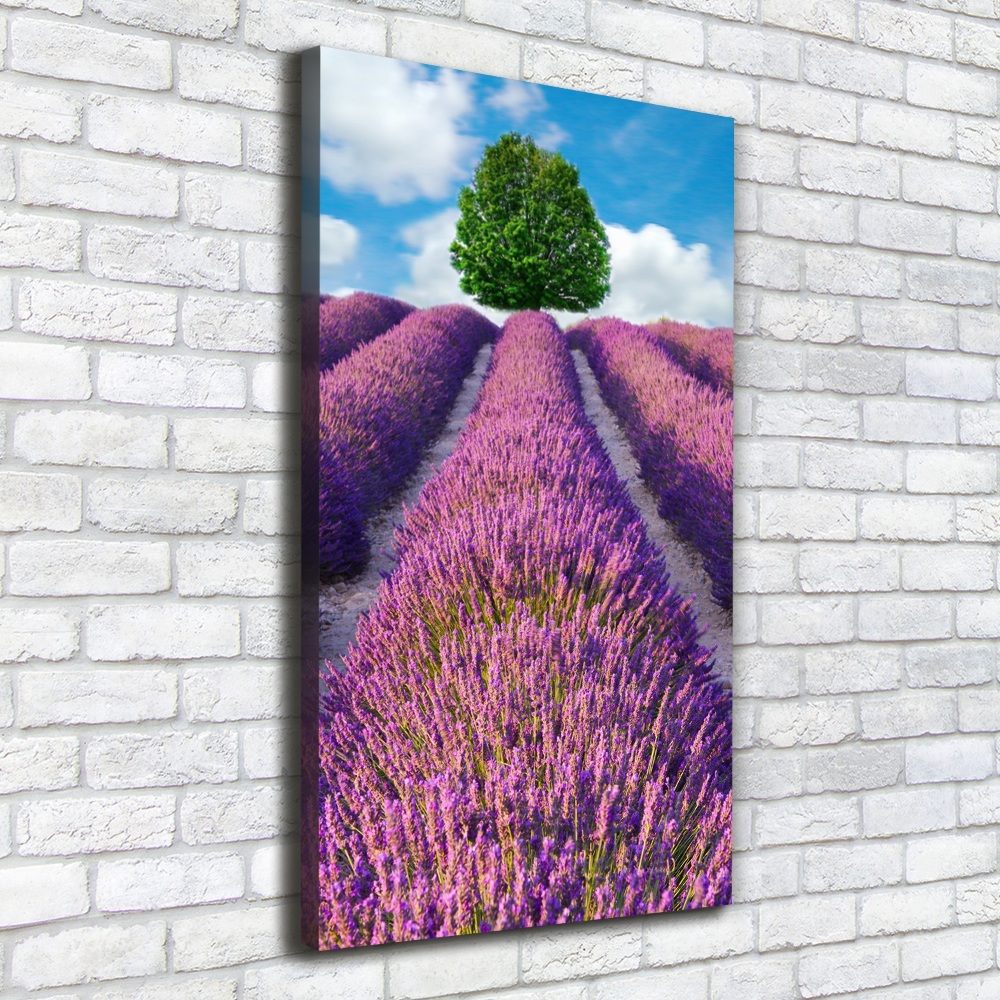 Wall art canvas large Lavender field