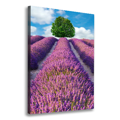 Wall art canvas large Lavender field