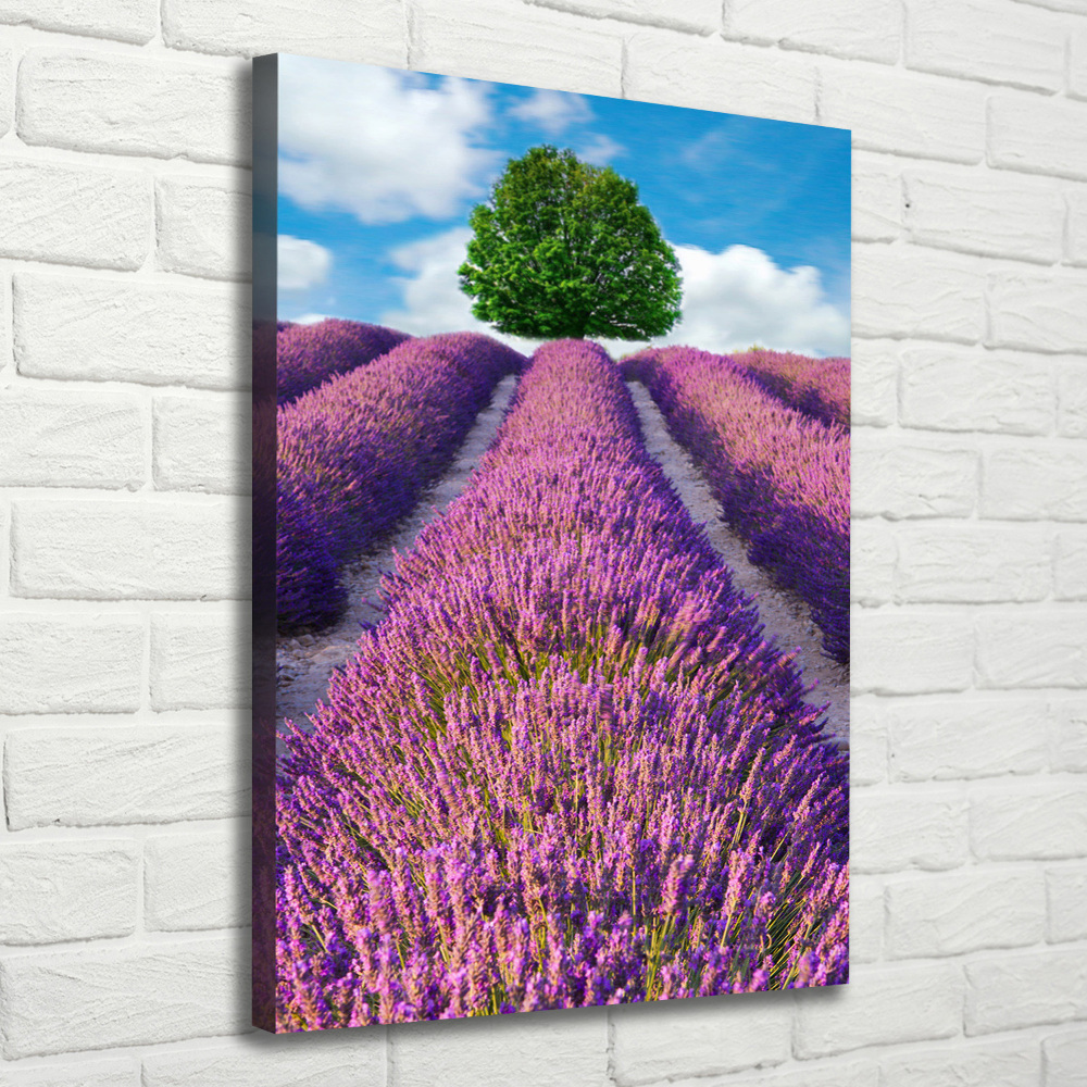 Wall art canvas large Lavender field