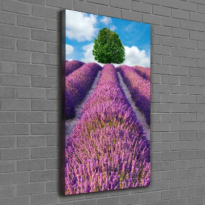 Wall art canvas large Lavender field