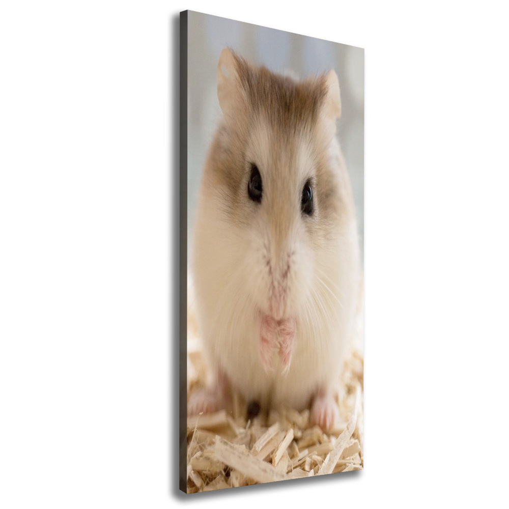 Canvas print Hamster