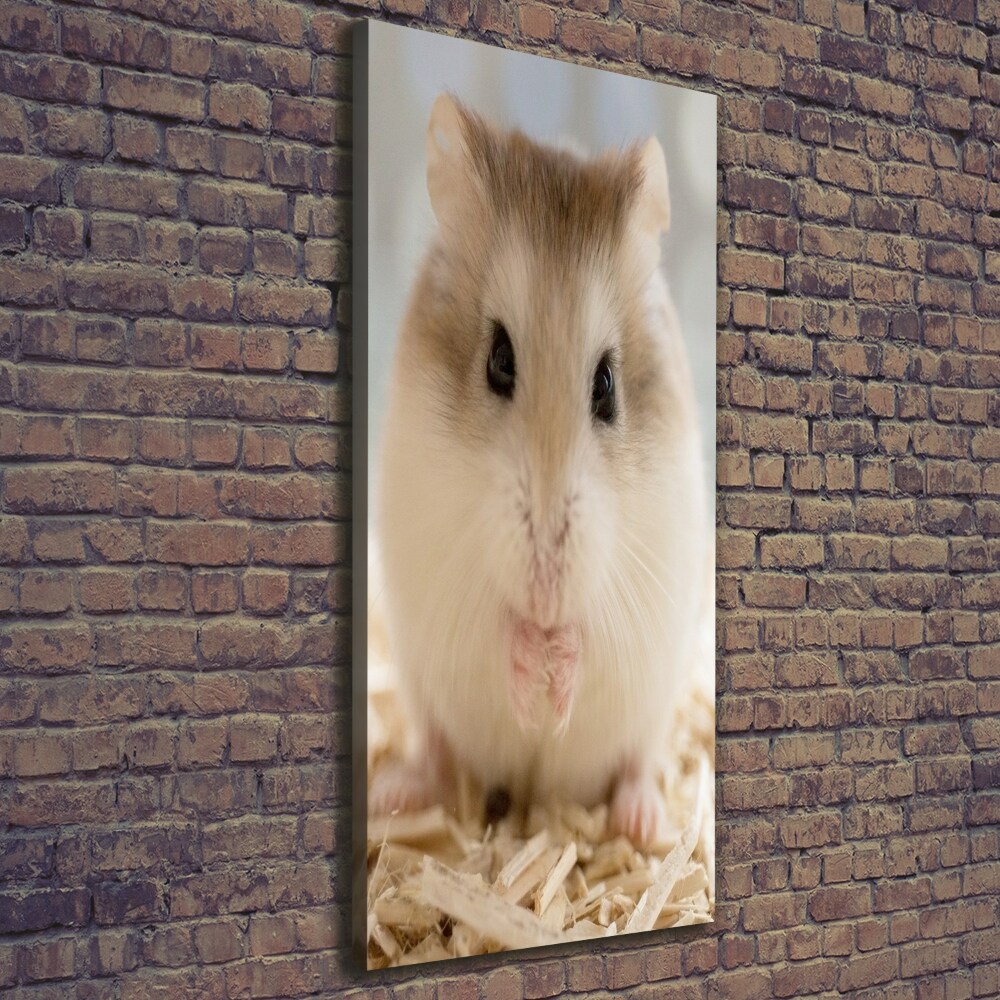 Canvas print Hamster