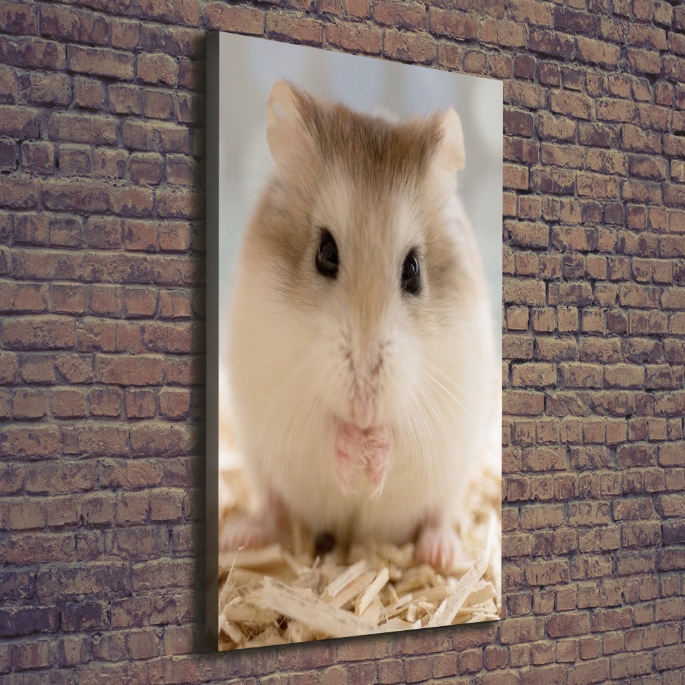 Canvas print Hamster