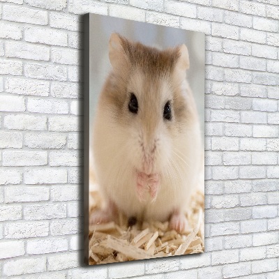 Canvas print Hamster