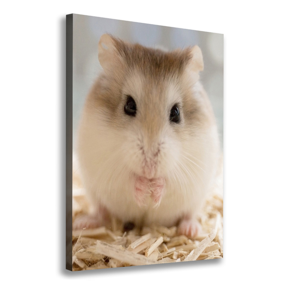 Canvas print Hamster