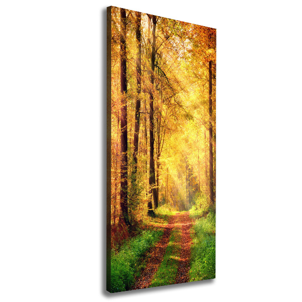 Canvas print Forest in autumn