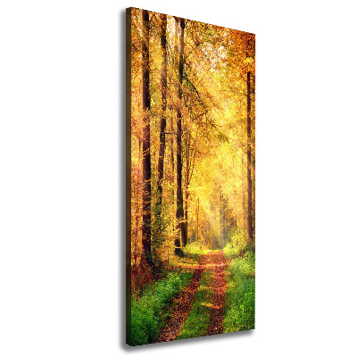 Canvas print Forest in autumn