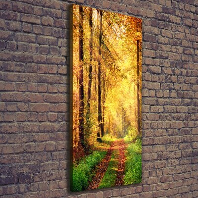 Canvas print Forest in autumn