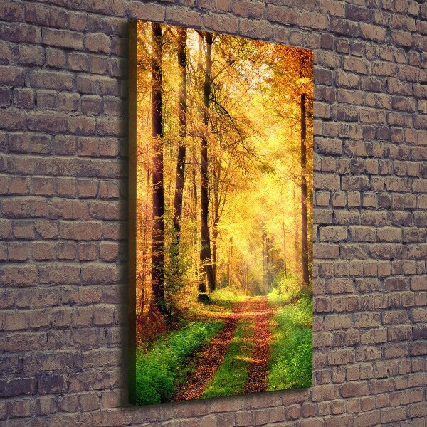 Canvas print Forest in autumn