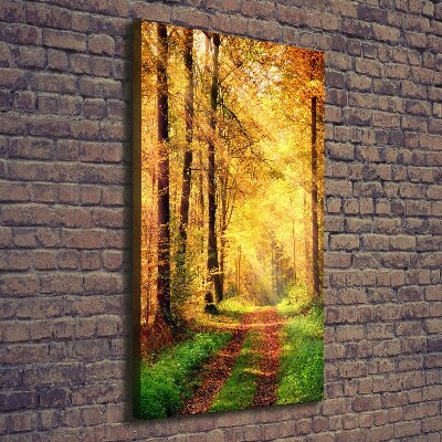 Canvas print Forest in autumn