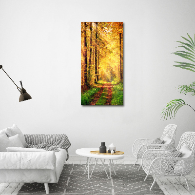 Canvas print Forest in autumn