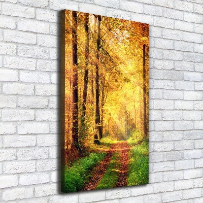 Canvas print Forest in autumn