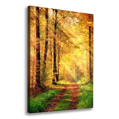 Canvas print Forest in autumn