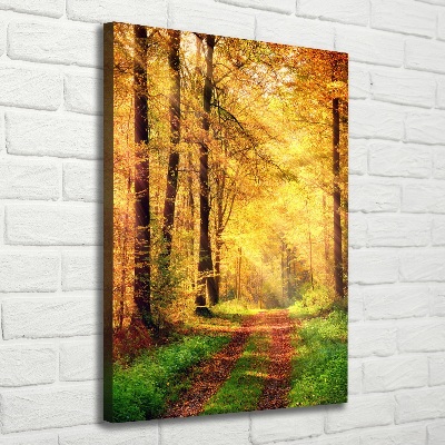 Canvas print Forest in autumn