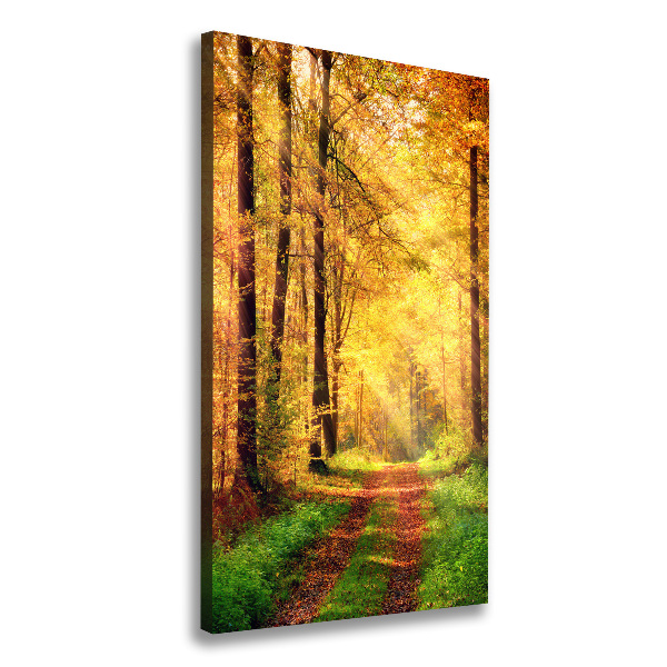 Canvas print Forest in autumn