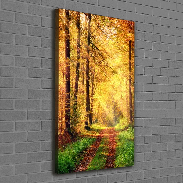 Canvas print Forest in autumn