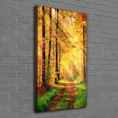 Canvas print Forest in autumn