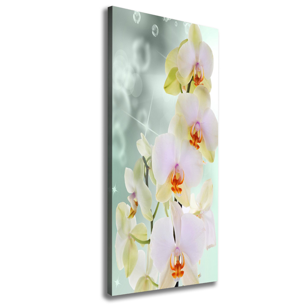 Large canvas wall art Orchid