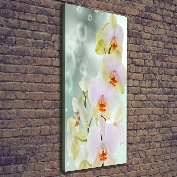 Large canvas wall art Orchid