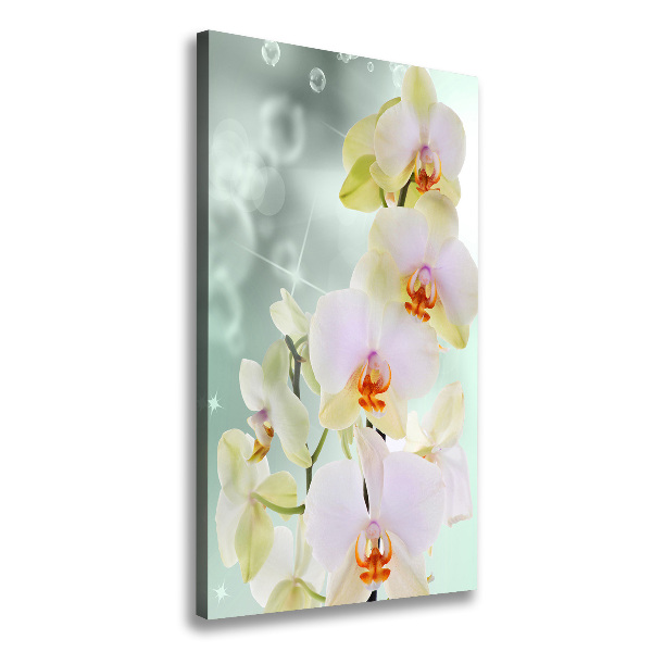 Large canvas wall art Orchid