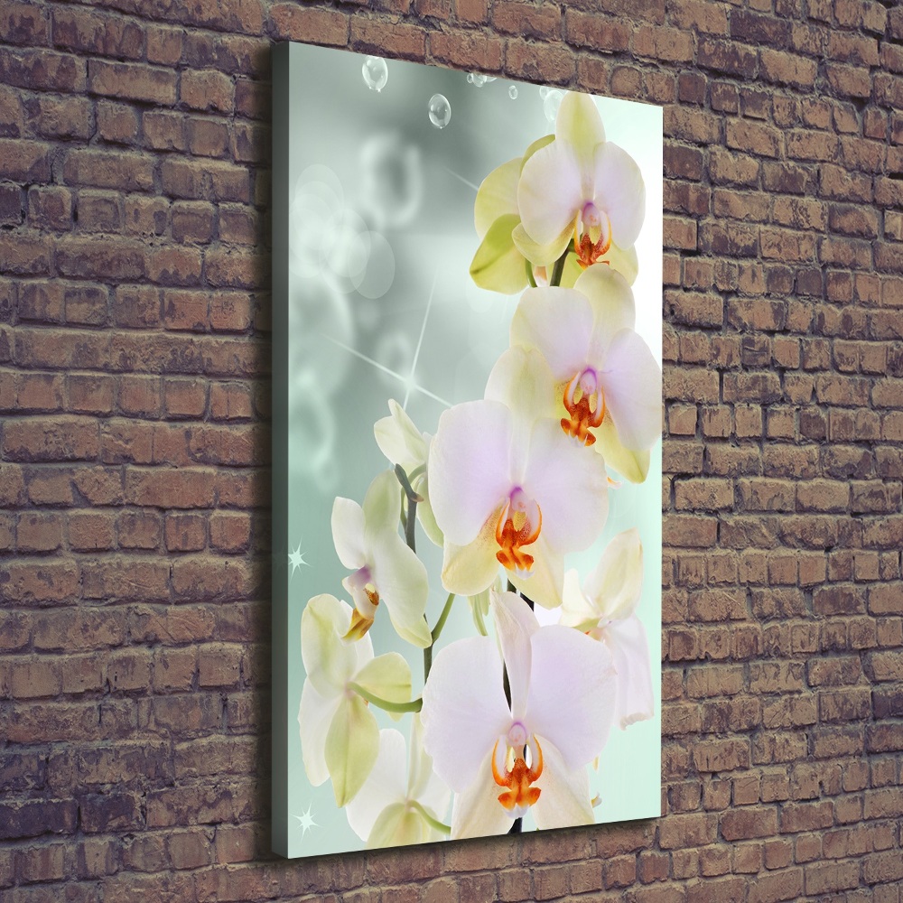 Large canvas wall art Orchid