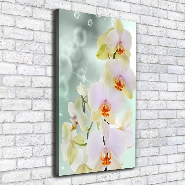 Large canvas wall art Orchid