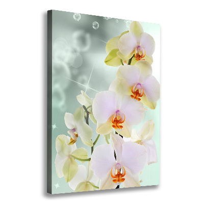 Large canvas wall art Orchid