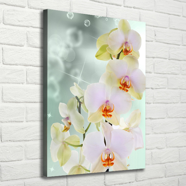 Large canvas wall art Orchid