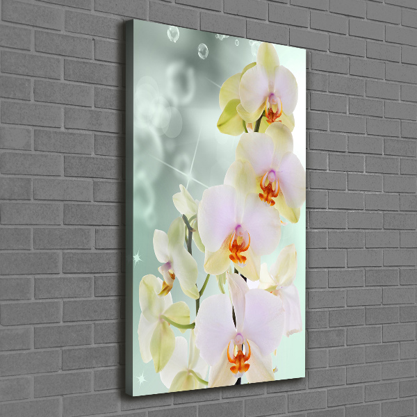 Large canvas wall art Orchid