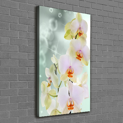 Large canvas wall art Orchid