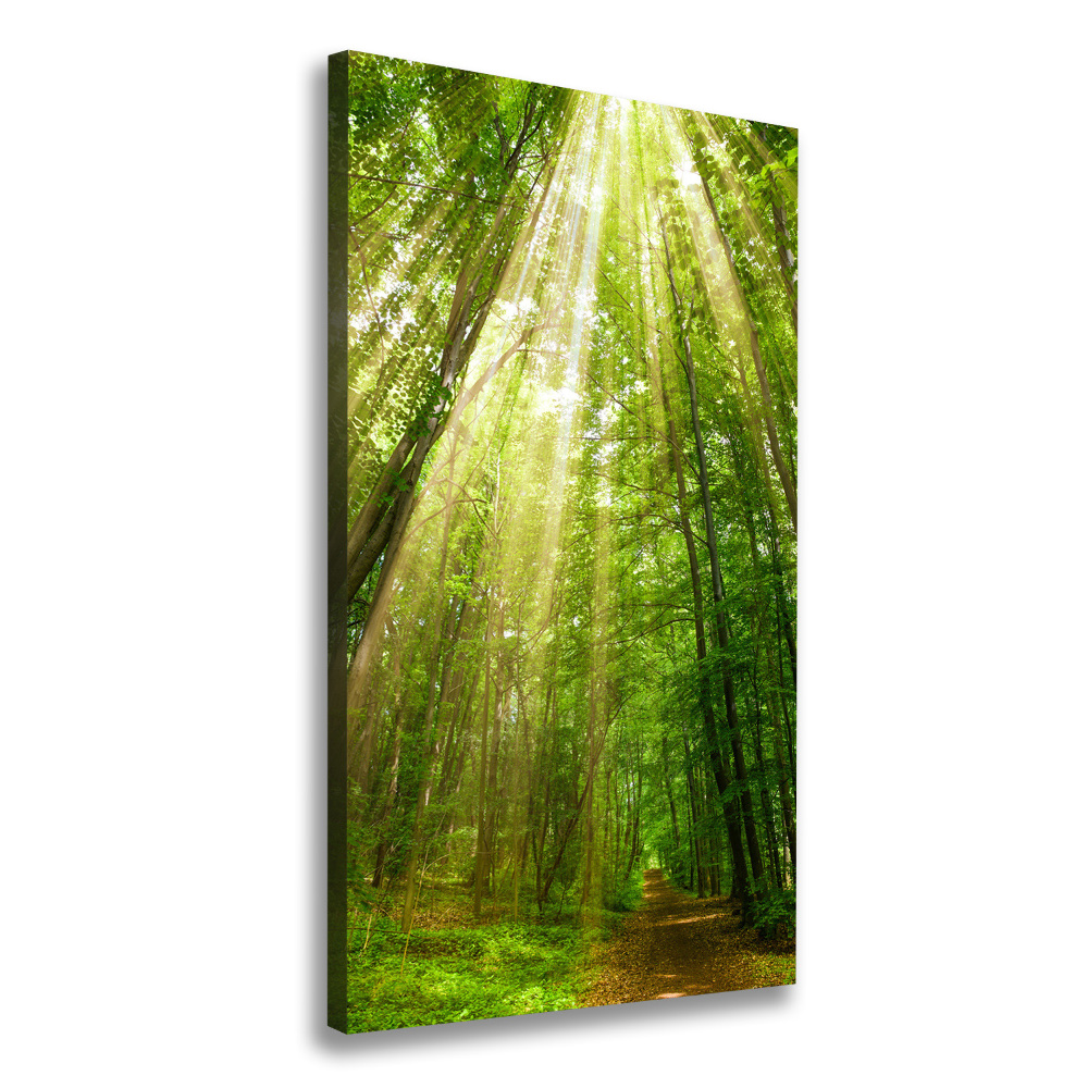 Wall art canvas large Path in the forest