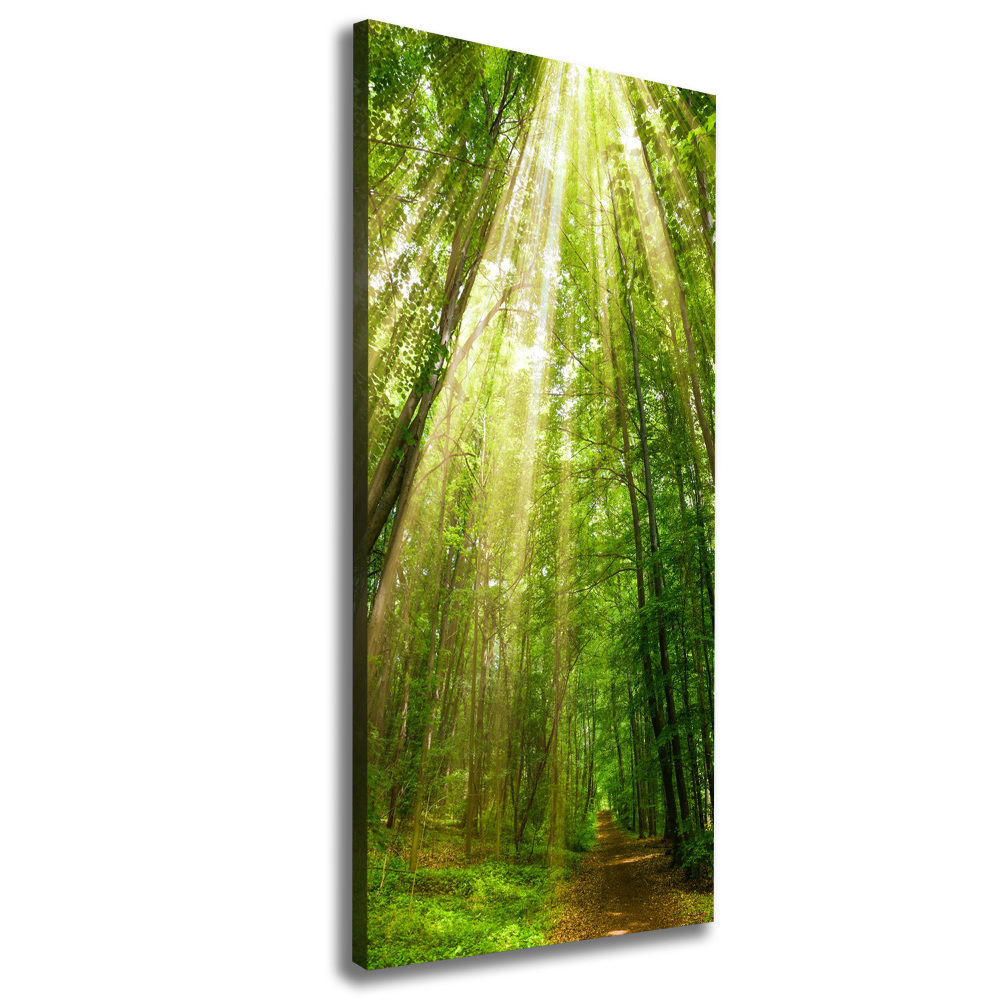 Wall art canvas large Path in the forest