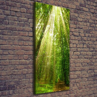 Wall art canvas large Path in the forest