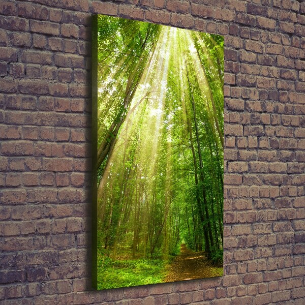 Wall art canvas large Path in the forest