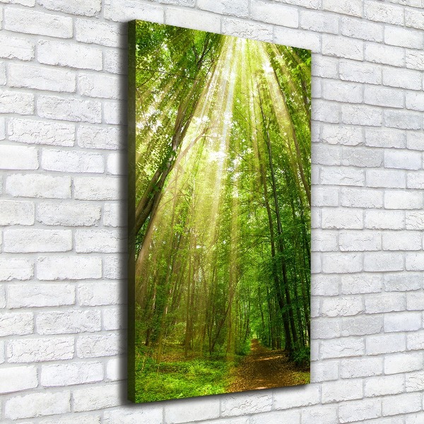 Wall art canvas large Path in the forest