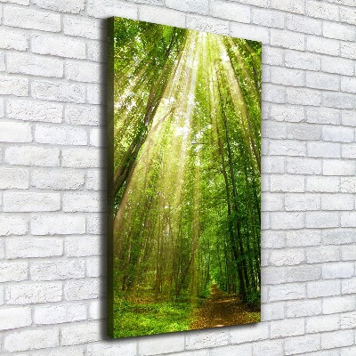 Wall art canvas large Path in the forest