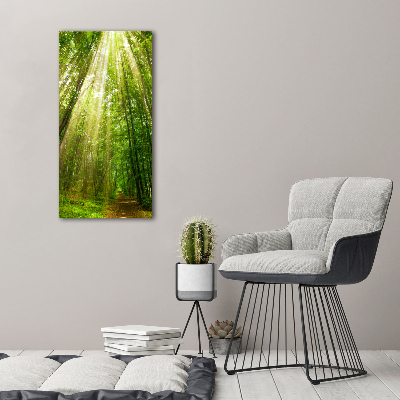 Wall art canvas large Path in the forest