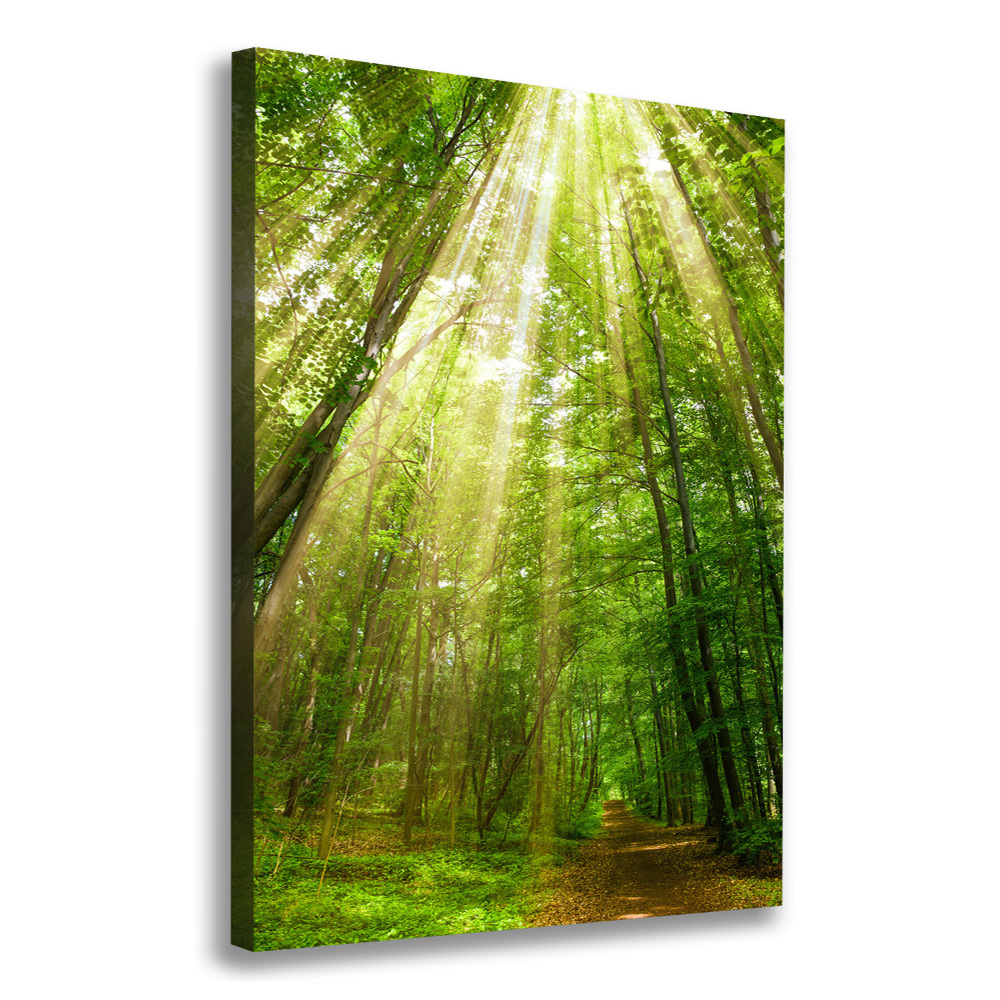 Wall art canvas large Path in the forest