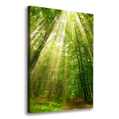 Wall art canvas large Path in the forest