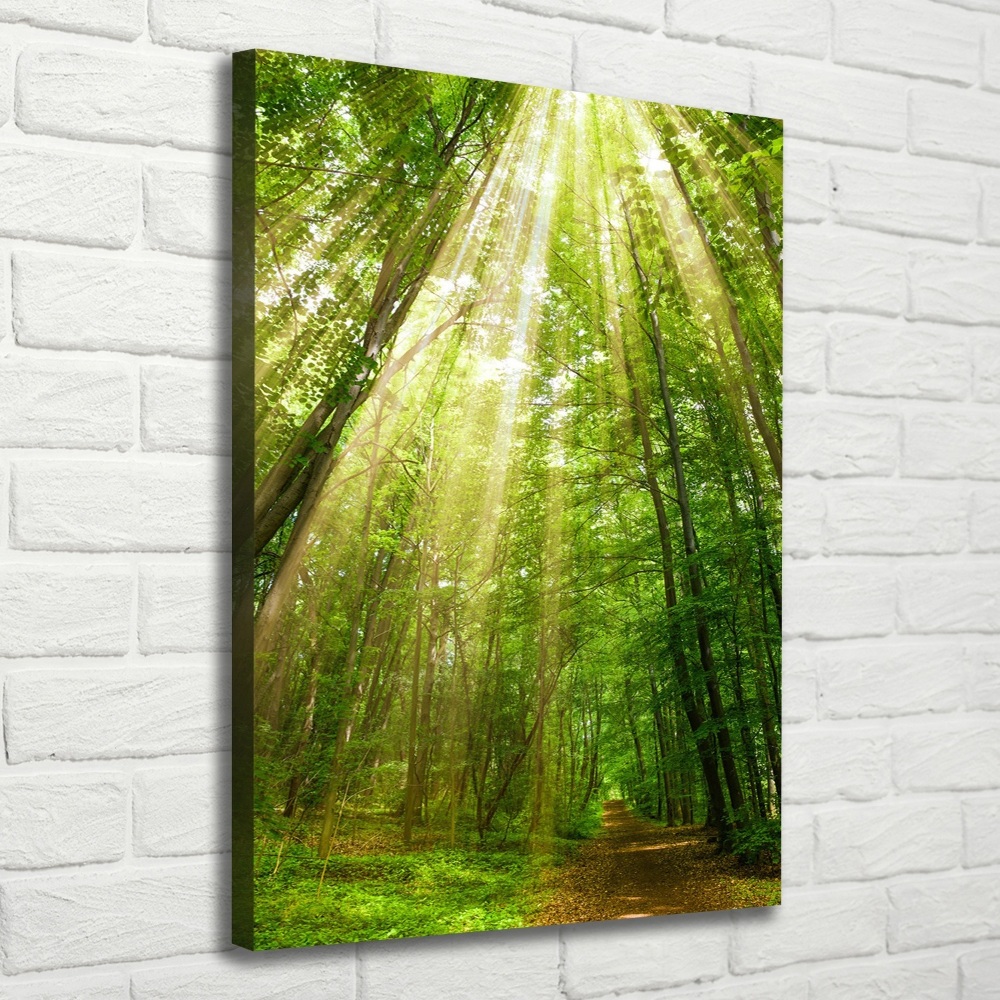 Wall art canvas large Path in the forest