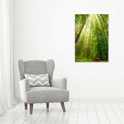 Wall art canvas large Path in the forest