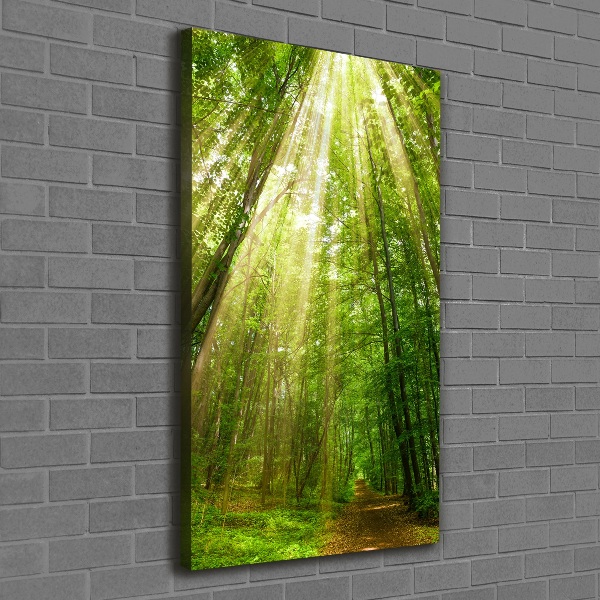 Wall art canvas large Path in the forest