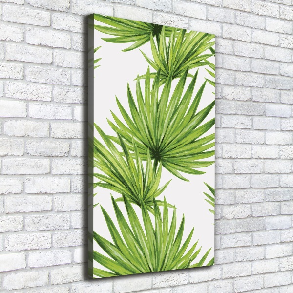 Canvas print Tropical leaves